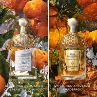 Aqua Allegoria Mandarine Basilic Forte  125ml-206763 Aqua Allegoria Mandarine Basilic Forte  125ml-206763 3